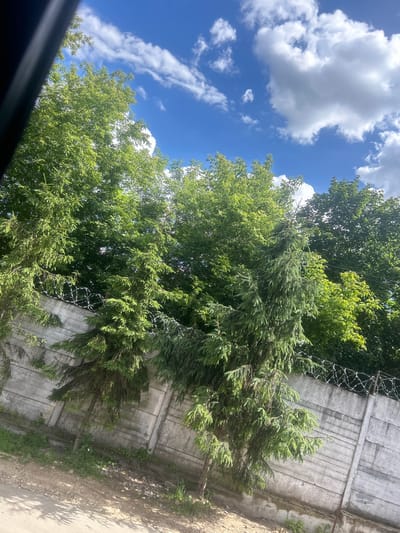 The image shows a concrete fence with barbed wire on top, dividing a residential area from a wooded area. The fence appears to be old and weathered, with some sections showing signs of damage. The barbed wire is rusted and appears to be of the concertina type. Behind the fence, there are a variety of trees, including evergreen trees and deciduous trees. The trees are lush and green, suggesting that it is either spring or summer. The sky is blue with white clouds, indicating fair weather. The ground in front of the fence is dirt and gravel. The image is taken from a slightly elevated angle, looking down at the fence and trees. The city of Lobnya, Russia is characterized by its mix of residential areas, industrial zones, and natural landscapes, including forests and parks. This scene is consistent with the urban landscape of Lobnya, where residential areas are often bordered by natural vegetation and secured by fences.