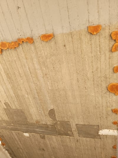 The image displays an upward perspective of a textured concrete surface, likely a ceiling or the underside of a structure, located in Ανδραβίδα, Greece. The primary concrete material is a light beige-grey, exhibiting prominent vertical striations consistent with formwork marks. Across the upper-middle section of the frame, a horizontal distribution of irregular, amorphous patches of bright orange, porous material is visible, consistent with fungal growth or other organic accumulation. Additional similar orange patches are scattered along the right edge. In the lower half of the frame, several irregular rectangular and amorphous patches of darker grey material, appearing to be repair mortar or filler, are affixed to the concrete. One distinct white patch is present among these repairs in the lower right. The section of the concrete surface above the main orange growth appears slightly lighter in color and smoother in texture. No individuals, active events, or discernible interactions beyond material degradation and past repair are visible.
