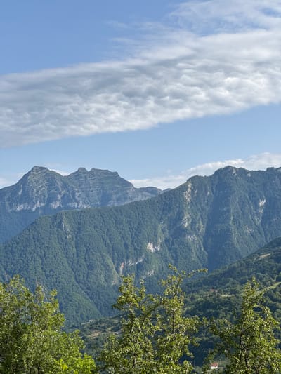 The image depicts a view of the Rogošnja mountain in Redice, Montenegro. The foreground is dominated by the lush green foliage of trees, obscuring the lower part of the scene. In the mid-ground, steep, densely forested mountains rise, their slopes textured with the varying shades of green of the abundant trees. Some lighter patches, possibly rocky outcrops or waterfalls, are visible on these slopes. Further in the background, the rugged peaks of Rogošnja mountain are prominent, characterized by their layered rock formations and stark, weathered appearance. The sky above is a pale blue, streaked with scattered, wispy white clouds. The overall impression is one of a serene and expansive natural landscape.