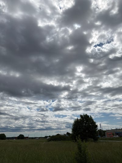 The image depicts a cloudy sky over a grassy field with a road and buildings in the distance, located in the city of Tiskre, Estonia. The sky is filled with dramatic, dark grey clouds interspersed with patches of bright white clouds and hints of blue sky. In the foreground, a dense field of tall, green grass stretches across the frame. A small, young tree is visible in the middle of the grassy area. Beyond the field, a road runs horizontally, with a few cars and a white van visible. Several lampposts are also present along the roadside. In the background, there are low-rise buildings, some appearing to be commercial or industrial. One building has a large red sign with white text. A large, dark green deciduous tree stands prominently on the right side of the frame, partially obscuring some of the distant structures. Two flags are visible on poles behind the large tree. The overall scene suggests an overcast day with a mix of natural and urban elements.