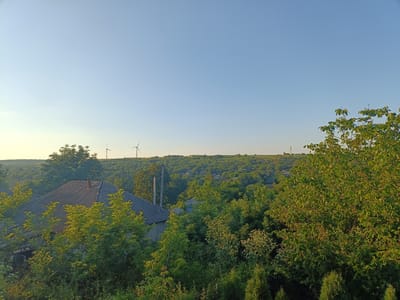 The image captures a rural landscape at what appears to be either sunrise or sunset, indicated by the soft, warm lighting and clear blue sky. In the foreground, a dilapidated house with a corrugated roof is partially visible, overgrown with lush green foliage. The house shows signs of disrepair, with a chimney protruding from the roof and visible structural elements.

Beyond the immediate foreground, the scene opens up to a rolling hillside covered in dense green trees, forming a verdant canopy. Scattered amongst the trees are small houses and buildings, suggesting a village or small town. Two wind turbines are prominently positioned on the distant hilltop, serving as a modern element against the natural landscape. A single, slender tower, possibly a telecommunications mast, is also visible on the horizon. The overall impression is one of a peaceful, natural environment with subtle hints of human habitation and renewable energy infrastructure. The specific location is in the village of Cinișeuți, Moldova.