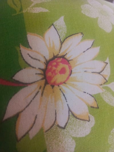 This media file is a close-up, overhead shot of a floral pattern on fabric. The primary subject is a stylized daisy with white petals outlined in black, and a center that is a gradient of yellow and pink. The background is a light green fabric with a subtly textured weave, and other faint, lighter-colored floral shapes are visible in the background. A thin, red stripe runs horizontally across the left side of the image, partially behind the flower. The lighting is diffuse, suggesting an indoor setting or an overcast day, and there are no people or any indication of a specific time of day or weather. The image appears to be a photograph of a decorative textile, possibly a pillowcase, tablecloth, or fabric sample. There is no visible text in the image. The setting context of Uryupinsk, Russia, is not visually evident from the image itself.