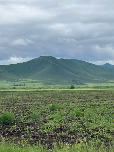 The image shows a landscape in Savaneti, Georgia, featuring a verdant field in the foreground and a tree-covered mountain range in the midground. The sky above is overcast with gray clouds. The foreground field appears to be farmland with crops planted in rows. A narrow grassy strip separates the field from the mountain's base. A line of trees is visible at the base of the mountains, appearing to lead to a small building or structure. The lighting is diffused due to the cloud cover.