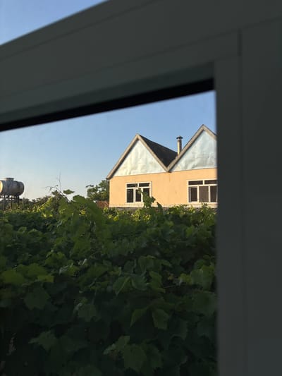 The image depicts a rural scene in Nabran, Azerbaijan, viewed through a window frame. In the foreground, a dense canopy of lush green grapevines fills the lower half of the frame, obscuring the ground and partially the base of a building. Behind the vines, a light peach-colored house with a dark roof and light blue gabled facades is visible. The house has two windows on the visible facade, each with white frames. A metal chimney protrudes from the roof. To the left of the house, a large, cylindrical metal water tank stands on a metal structure, also supported by metal poles. The sky above is a clear, pale blue, indicating daytime. The overall impression is of a tranquil, sunlit rural dwelling surrounded by vegetation.
