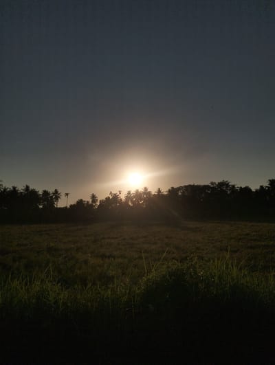 The image captures a serene sunrise over a rural landscape, possibly in the vicinity of Lhokkulam, Indonesia. The sky is a gradient of dark gray at the top transitioning to lighter hues as it approaches the horizon. The sun, a bright, radiant orb, is positioned slightly left of the center, casting a strong beam of light that spreads outwards, creating a lens flare effect. Silhouetted against the bright sky are numerous palm trees and other dense foliage, forming a dark, irregular line across the mid-ground. In the foreground, a field of grass is visible, with some blades catching the fading light, appearing as streaks of green against the darker, shadowed ground. The overall impression is one of tranquility and the peaceful start of a new day in a tropical setting.