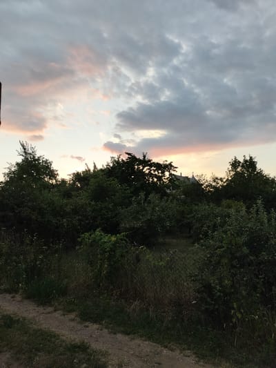 The image depicts an outdoor scene in Kudashivka, Ukraine, during what appears to be dusk. The sky is filled with a mixture of dark grey and lighter clouds, with hints of pink and yellow suggesting the setting sun. In the middle ground, a dense line of dark green trees and foliage dominates the frame, with a chain-link fence visible in front of it in some areas. A few structures, possibly buildings, are partially visible through gaps in the trees. The foreground shows a dirt path with some grass and weeds growing along its edges. No people or animals are present in the image. The overall impression is a natural, somewhat overgrown landscape.