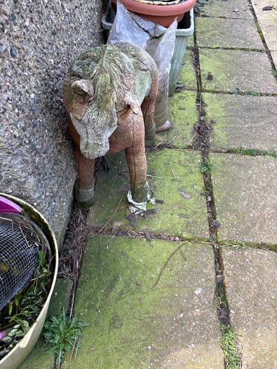 The image shows a discarded, weathered, stuffed animal resembling a deer or horse lying on a paved surface. The paving is made of irregularly shaped concrete slabs and rectangular tiles, with green moss and vegetation growing in the joints between them. The stuffed animal is discolored and dirty, and it is positioned among other discarded items, including plant pots, plastic sheeting, and a debris-filled basket. The location is Pulverbatch, United Kingdom.