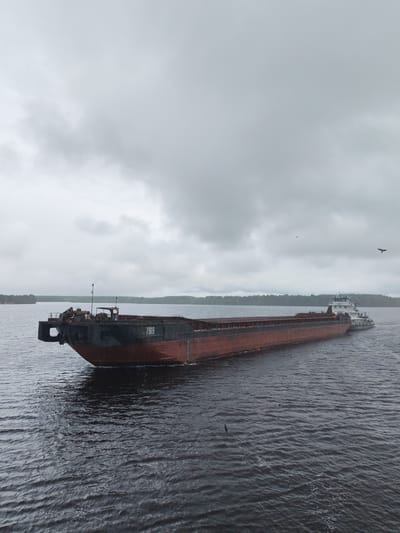 The image depicts a barge with the identification number 7919 being pushed by a tugboat on a body of water. The barge is painted black and red and appears to be empty. The surrounding environment consists of a gray, overcast sky, calm water, and a shoreline with trees in the distance. Two birds are visible in the sky. The location is Bessolovo, Russia.