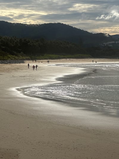 The image depicts an overcast day at a beach in Coffs Harbour, Australia. The foreground is dominated by a sandy beach with gentle waves lapping at the shore. The water is choppy and reflects the cloudy sky. In the mid-ground, several people are walking their dogs along the wet sand. The beach is backed by a dark, tree-covered hill. Further in the distance, a few buildings are visible on the hillside, suggesting a coastal town. The sky is filled with heavy, grey clouds, with some patches of lighter sky breaking through.