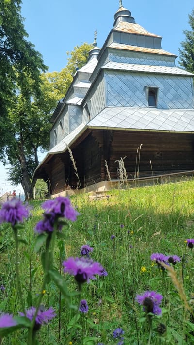 The image depicts an outdoor scene with a focus on a traditional wooden church with a metal roof, situated next to a field of wildflowers. The church, likely historical given its architecture, features multiple tiers of roofs covered in diamond-shaped metal shingles, with a spire topping the structure. The walls of the church are made of dark, weathered wood. In the foreground and to the right, a lush green field is dotted with purple wildflowers, some in sharp focus and others blurred, indicating a shallow depth of field. Tall grasses and some yellow flowers are also visible. Trees with green foliage are present to the left and behind the church, suggesting a natural or rural setting. The sky is a clear, bright blue, indicating it is daytime and likely sunny. The lighting suggests it is likely morning or afternoon. The overall atmosphere is peaceful and serene, capturing the rustic beauty of the location. There are no visible people or text in the image. The location context provided is Vyshka, Ukraine.
