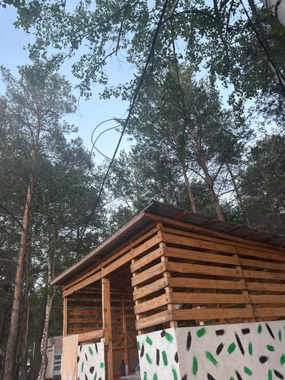 The image captures an outdoor scene in Zerendi, Kazakhstan, during daytime under a clear, bright sky. The primary subjects are a rustic wooden structure and numerous trees.
On the right side of the frame, a wooden structure, possibly a shed or shelter, is prominently featured. It is constructed from vertical and horizontal light-colored wooden slats, forming walls and a visible roof support system. Portions of the structure are adorned with white panels featuring an abstract design of irregular green and black brushstrokes.
The rest of the scene is filled with trees, predominantly tall coniferous pines and deciduous trees with green leaves. Their branches and foliage frame the clear sky. Several pine tree trunks are visible in the background. Across the upper left sky, two dark cables or wires are visible, extending horizontally.
Near the base of the wooden structure, stacks of building materials are visible. Text fragments on these materials include "БАУМЫ" and "МИНЕРАЛЬНАЯ ВАТА" (Mineral Wool), indicating insulation or similar construction supplies. No individuals or specific activities are depicted; the image presents a static view of the structure within its natural, wooded setting.