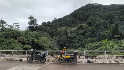 Two motorcycles are parked on a bridge overlooking a dense, lush green forest that covers a steep hillside. The sky is overcast. The motorcycle on the left is dark green, and the motorcycle on the right is yellow. Both motorcycles have helmets resting on their seats and saddlebags. A concrete barrier with a metal railing runs along the edge of the bridge. The environment appears to be a natural, undeveloped area, likely a rural mountainous region. The location is in the vicinity of Thượng Trạch Commune, Vietnam, known for its mountainous terrain and extensive forests.