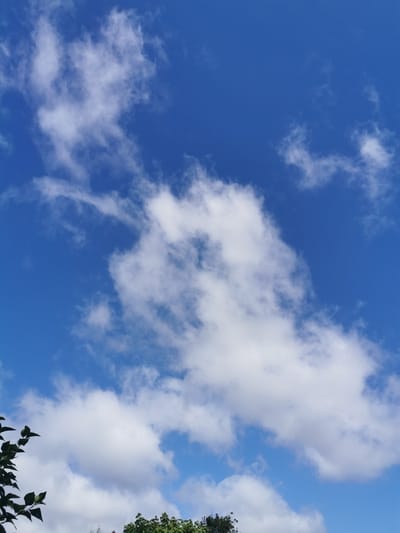 The image shows a clear blue sky with scattered white clouds. In the lower left corner, dark green leaves of a tree are visible, and in the lower middle and right, the tops of green trees are visible. There are no people or animals in the image, nor any buildings or man-made structures that could identify a specific location within the city of Ripon, United Kingdom. The scene depicts an outdoor environment, likely during daylight hours.