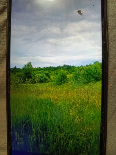 The image displays a landscape scene with a damaged screen. The landscape features a field of tall green grass in the foreground, with scattered yellow flowers. Behind the field, there is a dense line of green trees and bushes, forming a treeline that stretches across the middle ground. The background consists of a cloudy sky. The screen exhibits a significant crack originating from the top center, with a spiderweb-like pattern of smaller cracks radiating outwards. There are also some smudges or dust particles on the screen. The image is framed by a dark border, possibly the device's casing, and the background appears to be a textured fabric. There are no people or identifiable structures present in the landscape.