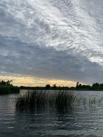 The image depicts a serene natural scene with a body of water, reeds, and a sky filled with clouds. The water is dark and rippling, with sunlight glinting off its surface, suggesting a calm day. Tall reeds line the edge of the water, creating a natural border. In the background, a line of trees is visible along the horizon, silhouetted against a sky transitioning from dark gray clouds to a lighter, warmer hue near the horizon, indicating either dawn or dusk. A lone bird is captured in flight against the cloudy sky, adding a dynamic element to the otherwise still landscape. The overall mood is tranquil and peaceful. The time of day appears to be either early morning or late evening, as suggested by the quality of light. The location is likely a lake or riverbank in a rural or natural setting. There is no visible text in the image.