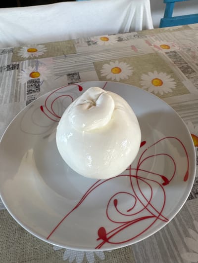A white, round cheese, likely burrata, is presented on a white plate with red decorative swirls. The plate rests on a tablecloth featuring a repeating pattern of daisies and abstract lines. The cheese is slightly glossy, indicating its freshness. In the background, a white cloth and a section of a blue chair are visible, suggesting an indoor setting. The scene is well-lit, with the light source appearing to be from the top. The image is taken from a slightly elevated angle, looking down at the plate. The location is the city of Orosei, Italy.