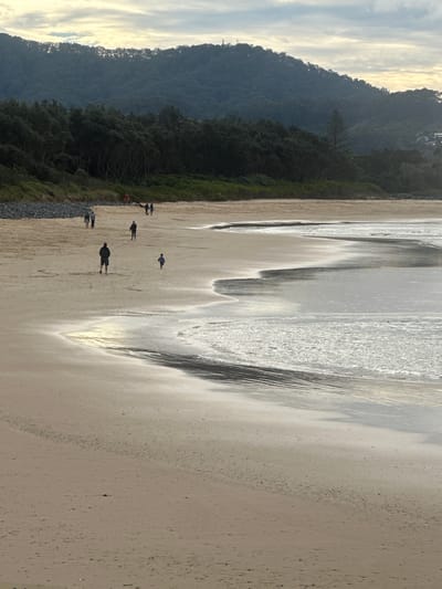 The image depicts a wide, sandy beach in Coffs Harbour, Australia. A gentle ocean laps at the shore, creating foamy waves that recede across the wet sand. Several people are scattered across the beach, walking in different directions. In the background, a dense forest covers a rolling hillside that meets the ocean. The sky is overcast with patches of sunlight breaking through, suggesting it might be early morning or late afternoon. The overall scene is serene and evokes a sense of peaceful outdoor activity.