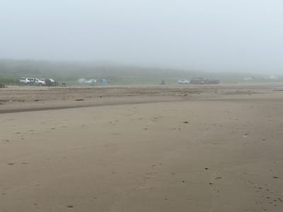 The image depicts a foggy beach scene in Sovetskoe, Russia. The foreground is dominated by a sandy beach with scattered small rocks and debris. In the middle ground, near the tree line, several vehicles, including SUVs and what appear to be vans, are parked. Some tents are also visible, suggesting a campsite. A few individuals are present, standing near the vehicles and tents. The background features a dense, fog-shrouded treeline. The overall atmosphere is overcast and hazy due to the fog.
