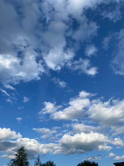 This is a landscape photograph of a bright blue sky filled with scattered white and gray clouds. The clouds vary in size and density, with some appearing wispy and others more substantial and textured. The sun is likely high in the sky, suggesting it is daytime, and the clear blue areas indicate fair weather. The perspective is looking upwards, giving a sense of vastness to the sky. On the right side of the frame, the tops of dark green trees are visible, with their branches silhouetted against the sky. This suggests the photo was taken from ground level, looking up towards the sky, and that the location is outdoors, possibly in a natural or semi-natural environment with vegetation. The image does not contain any people, objects, text, or any specific activity or event taking place beyond the natural display of clouds in the sky. The location context provided indicates Novyi Ural, Russia.