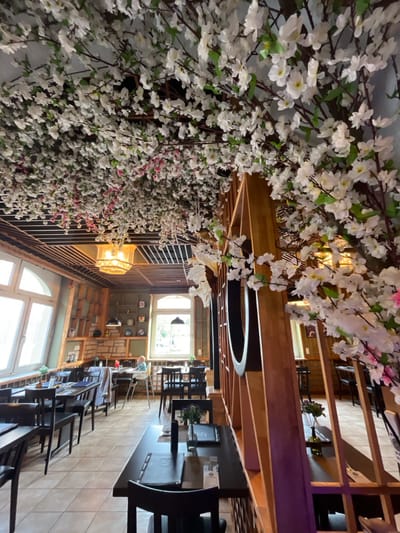 The image displays the interior of a restaurant, characterized by an abundant and immersive cherry blossom (sakura) theme. The perspective is taken from within the restaurant, looking towards the back.

The most striking feature is the extensive artificial cherry blossom decoration that covers the ceiling and the left wall. These blossoms are primarily white, with scattered hints of light pink, creating a vibrant, spring-like canopy overhead and a flowering wall. The branches supporting these flowers appear naturalistic and are densely packed.

To the right of this blossom-laden wall, and forming part of the ceiling structure, are warm-toned wooden beams and latticework. A large, circular, dark-colored decorative element or light fixture hangs from this wooden ceiling structure in the midground.

The dining area is furnished with multiple dark-colored tables and chairs. The tables are rectangular, and some have menus placed on them, suggesting a dark cover with perhaps a logo. The chairs are also dark, with cushioned backs and seats. The flooring throughout the visible area is a light-colored, possibly beige or cream, tiled surface.

In the background, natural light streams in through large windows, one of which appears to be an arched doorway or a multi-paned window, offering a glimpse of an outdoor scene that includes green foliage, suggesting it might be daytime. Below these windows, along the wall, there are shelves displaying various decorative items, possibly ceramic plates or bowls, indicating a thoughtful interior design. Another section of the wall near the windows has a textured finish, possibly brick or stone, painted in a muted color.

Small floral arrangements, possibly artificial purple flowers, are visible on some of the dining tables. Further into the background, more tables and chairs are arranged, extending into additional sections of the restaurant, indicating a spacious layout. One small, indistinct figure, possibly a customer, can be faintly seen seated at a table near the back window.

The overall ambiance is bright and welcoming, combining natural light with the soft glow from artificial lighting fixtures (one warm-toned fixture is visible on the right wall). The decor strongly suggests an Asian, likely Japanese, dining establishment, creating a tranquil and aesthetically pleasing environment. No clear, readable text is discernible in the image.