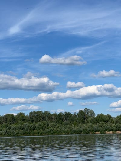 The image depicts a serene natural landscape, likely a riverbank, on a sunny day with a clear blue sky dotted with white clouds. The scene is oriented vertically, with the sky occupying the left two-thirds of the frame and a dense line of lush green trees bordering the right third, which is then followed by the reflective surface of water.
The sky is a prominent feature, filled with wispy cirrus clouds streaked across a vibrant blue expanse, indicating fair weather and perhaps a gentle breeze. Scattered cumulus clouds add texture and depth to the aerial view.
Along the horizon, a thick band of diverse green foliage forms a natural barrier, suggesting a well-wooded area. The trees are varied in shape and shade of green, creating a rich tapestry of vegetation. The water on the right side of the image is calm but rippled, reflecting the surrounding environment and the sky. The ripples create a dynamic pattern of light and shadow on the water's surface.
The overall mood of the image is peaceful and tranquil, capturing the beauty of a natural riverside setting on a bright day. There is no visible text, people, or specific objects in the frame, focusing solely on the expansive sky, the verdant treeline, and the reflective water. The scene suggests a moment of quiet observation of nature.