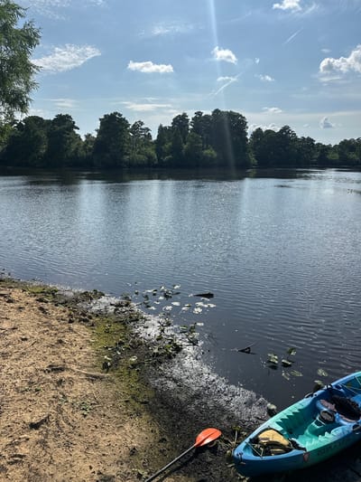 The image depicts a body of water, likely a lake or river, with a shoreline featuring sand and vegetation. A blue and green kayak is partially visible on the right side of the frame, along with an orange paddle lying on the sandy shore. Lily pads float on the water's surface near the shoreline. Trees line the opposite bank of the water, and the sky is partially visible with scattered clouds. The location is potentially in Tampa, United States, but that is uncertain. No people are visible.