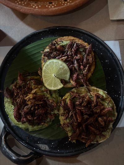 This image captures a close-up, top-down view of three round food items served on a black, speckled platter with handles, lined with a green banana leaf. Each food item consists of a base (likely a tortilla or sope), topped with a light green spread, and generously piled with numerous reddish-brown, dried insects, consistent with chapulines (grasshoppers). A single lime wedge, with a section appearing to be bitten or cut off, rests centrally on the platter, partially on one of the food items. In the upper background, a portion of a terracotta-colored ceramic dish with white dotted patterns is visible, alongside a light-colored napkin to the right. The platter rests on a light brown surface, likely a table. The lighting is dim, suggesting an indoor evening setting in San Sebastián Xolalpa, Mexico. No people are visible.