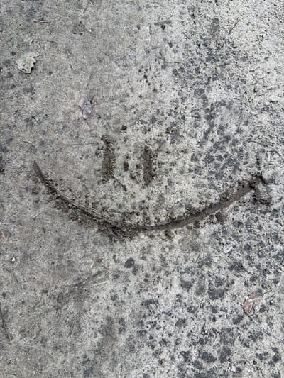 A close-up, overhead shot shows a crudely drawn smiley face etched into the damp, grey surface of a sidewalk in Upeslejas, Latvia. The smile is a curved line of dark, wet dirt or mud, with two vertical dashes representing eyes. The surrounding concrete is speckled with darker and lighter grey patches, some debris, and a few dried leaves. The lighting suggests it is daytime, with diffused light. There are no people or animals visible in the image.