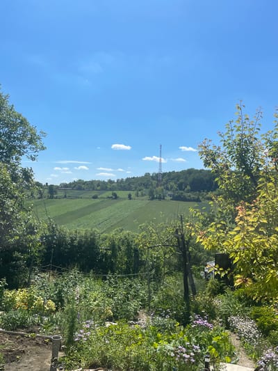 This image depicts a rural landscape on a bright, clear day. In the foreground, there is a lush garden with various plants, flowers, and trees, including some with vibrant green and reddish-yellow leaves. A dirt path leads through the garden. Beyond the garden, rolling hills are covered with agricultural fields, which appear to be sectioned into different crops with varying shades of green. A tall, slender radio tower stands prominently on a distant hilltop, silhouetted against the bright blue sky dotted with a few scattered white clouds. The scene suggests a peaceful, sunlit day in a countryside setting.