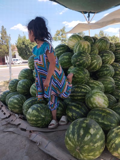 In Kiyat, Uzbekistan, a young girl with dark hair pulled into a ponytail stands on a pile of watermelons, looking to her left. She is wearing a colorful, striped dress with turquoise, yellow, blue, and white geometric patterns, and matching pants. Her feet are bare except for light-colored sandals. She is positioned near the edge of a market stall, indicated by the green tarp overhead and the neatly stacked produce. The background shows a street with a white vehicle and trees, under a bright blue sky with scattered clouds. Numerous watermelons, of varying sizes and with distinct green stripes, fill the foreground and surround the girl. Some of the watermelons are placed on flattened cardboard boxes. The scene appears to be an outdoor market on a sunny day.