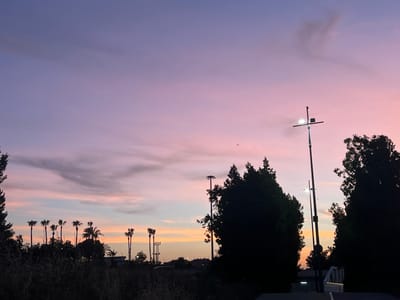 The image displays an outdoor scene in Alcàsser, Spain, at the transitional hour of dusk. The sky presents a gradient of colors, moving from a deep violet-blue in the upper left, through shades of lavender and pink across the mid-section, to streaks of orange and yellow along the lower horizon, particularly on the left, transitioning back to pink on the right. Scattered, dark grey, wispy clouds are visible across the sky. A small, faint white point, consistent with a star or planet, is located in the upper-mid left quadrant of the sky. A dark, small, airborne silhouette, suggestive of a bird or distant aircraft, is present in the mid-right sky.

The lower two-fifths of the image are dominated by dark, silhouetted vegetation. Numerous tall palm trees, exhibiting dark fronds, are prominent on the left and center-left, standing against the brighter horizon. Dense, dark conifer-like trees form solid masses on the far left, mid-right, and far right sides of the frame. The immediate foreground consists of indistinct, dark shrubbery and grasses.

Several artificial structures are discernible. A prominent pole with a bright white light fixture and a cross-shaped arm assembly stands in the mid-right portion of the frame. Another tall, slender pole with a visible light source is positioned further to the left. In the distant mid-ground, faint, dark outlines of low-rise buildings are visible. The bottom right corner reveals a dark paved surface, likely a road or path, with a partial white line. Adjacent to this, a white, angular structure, possibly a segment of a bridge or overpass, is partially visible, along with a dark fence or railing. No human figures are present, and no specific actions are depicted.