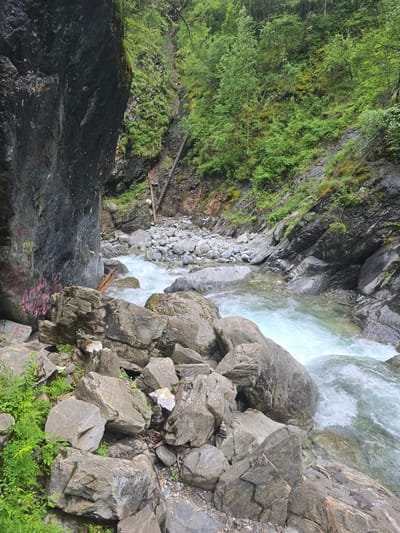 An image depicts a natural scene within a gorge. A body of water, appearing to be a river with clear, turquoise-tinted water, flows through the center of the frame. The river is characterized by visible currents and rapids, indicated by white foam. The riverbanks and the gorge walls are composed of large, gray rocks of varying sizes, with some smaller stones and gravel visible along the water's edge. Lush green vegetation, including small trees, bushes, and moss, grows on the rocky slopes and along the edges of the water. A large, dark rock formation, possibly a cliff face, dominates the left side of the image. This rock has some graffiti in pink and yellow spray paint on its surface. A fallen tree trunk is lodged in the river near the center. The overall environment suggests a wild and rugged natural landscape.