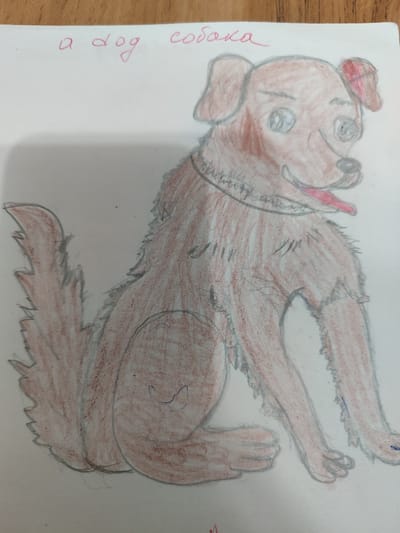 The image is a colored pencil drawing of a dog on a white piece of paper. The dog is reddish-brown with a grey outline. It has large blue eyes, a black nose, and a pink tongue sticking out. The dog is sitting with its front paws extended and its tail curled to the side. There is a collar around its neck. At the top of the paper, there is writing in red ink. The first words are in English, "a dog." The following words are in Cyrillic script and appear to be the Russian word for dog, "собака." There is no discernible connection to Batken, Kyrgyzstan in the image or the drawing.
