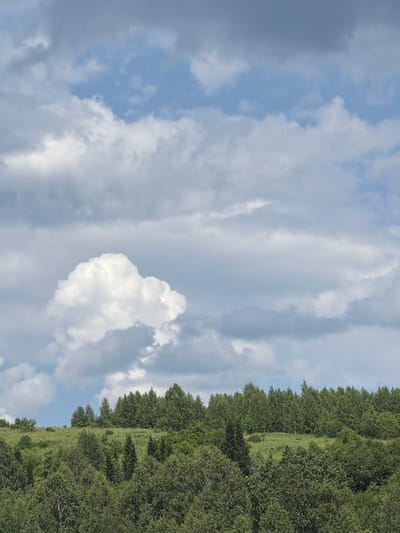 The image depicts a natural landscape with a distinct division between the sky and a forested area. The sky is filled with a variety of clouds, ranging from large, puffy white cumulus clouds to thinner, more wispy cirrus formations, set against a backdrop of pale blue sky. The clouds are varied in texture and density, suggesting dynamic weather conditions.

The lower portion of the image features a dense, green forest that appears to be on a sloping hillside. The trees are predominantly deciduous, with lush foliage, creating a thick canopy. Interspersed within the forest are patches of grass, indicating open areas or clearings. The sunlight appears to be diffused by the clouds, suggesting it might be late morning or afternoon, possibly with some cloud cover. The scene is rural and appears to be in a temperate climate.

No people, objects, or text are visible in the image. The overall mood is serene and natural, characteristic of a peaceful outdoor setting. The location context suggests Tashtagol, Russia, which is known for its forested terrain and varied cloud formations. The image captures a moment of natural beauty, highlighting the interplay between the sky and the earth.