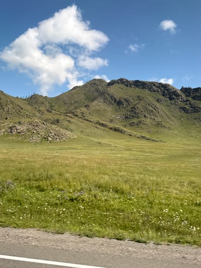 An outdoor, medium-shot, landscape photograph shows a wide, grassy valley leading up to a steep, rocky mountain range under a bright blue sky with scattered white clouds. A paved road with a white line is visible in the foreground along the bottom of the image, suggesting the photo was taken from a moving vehicle. The grass in the valley is green and textured with many small white and purple wildflowers. Sparse, dark green trees dot the upper slopes of the mountain. The overall scene is pastoral and serene. The location is identified as Tuekta, Russia.