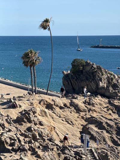 This image, taken in Newport Beach, United States, shows a view from atop a cliff looking out at the ocean and a narrow walkway hugging the cliff's edge. Two palm trees are visible along the walkway. Further out in the ocean, a sailboat is visible, along with a small structure on a rocky outcrop. People are observed in the scene: some are walking along the path, and one individual is climbing on a set of stairs built into the rocky cliff. The cliff itself is made of a light-colored, weathered stone. The water is a deep blue.