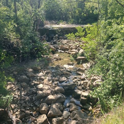 The image shows a rocky creek bed in a forested area, possibly near Kesarevo, Bulgaria. The creek is mostly dry with shallow pools of water visible between the rocks. The banks of the creek are lined with dense vegetation, including trees and shrubs. At one end of the image is a man-made stone wall. There is no visible human presence.