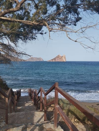 The image depicts a descending stone staircase with a weathered wooden handrail, leading towards a beach and the Mediterranean Sea. The staircase is flanked by dry vegetation and rocky soil. In the distance, a large, pointed rock formation rises from the turquoise water, with a hazy coastline visible behind it under a clear, light blue sky. Overhead, a large tree with bare branches and sparse green leaves partially frames the scene. The sun casts shadows on the staircase and the surrounding ground, indicating it is daytime. The scene appears to be a coastal path or access point to a beach in a Mediterranean environment, likely within the municipality of Águilas, Spain, given the characteristic rock formations and vegetation. There are no people or animals visible in the frame.