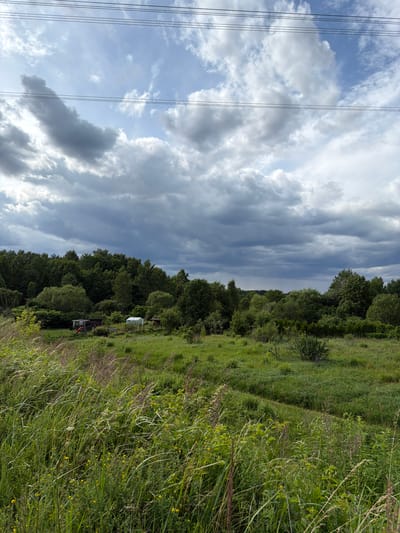 This is a landscape photograph taken outdoors. The scene depicts a grassy field with trees bordering the right side of the frame. In the distance, nestled amongst the trees, are a small greenhouse and a red structure that appears to be a shed or playhouse. Overhead, a dramatic sky with a mix of dark storm clouds and patches of bright blue sky suggests variable weather, possibly the approach or departure of a storm. The foreground is dominated by tall, lush green grass and wildflowers, adding to the natural, rural feel of the setting. Power lines are visible running vertically along the left side of the image, indicating the presence of infrastructure in the otherwise natural landscape. The time of day is not definitively identifiable, but the lighting suggests it could be late afternoon or early evening. There is no visible text in the image. The overall impression is one of a serene, yet dynamic natural environment.