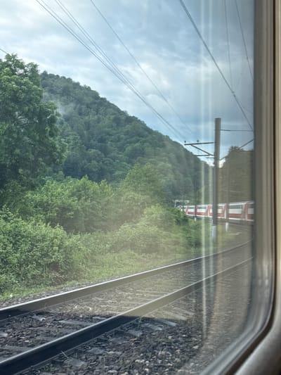 The image, taken from inside a train, shows a view of the landscape passing by through the train window. The scene is composed of a hill covered in dense green trees and vegetation, with some trees appearing in the foreground. Overhead power lines are visible against a cloudy sky. The train tracks are located close to the window. The image also contains reflection of buildings/train. The location is unknown, and no information suggests it is in Kirpichnoye, Russia. No people are visible.