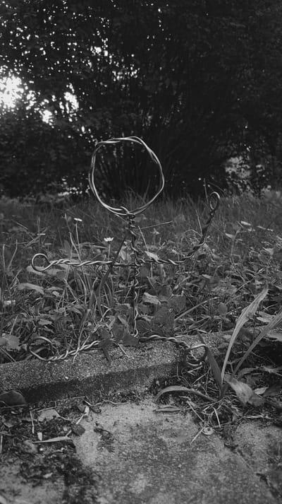 This is a black and white, low-angle, medium shot of a wire sculpture in a grassy outdoor setting. The sculpture, made of twisted wire, resembles a stylized figure with a circular head. It is positioned on the ground, amidst grass, weeds, and fallen leaves, in front of a concrete edge. In the background, dense foliage of a tree is visible, with dappled sunlight filtering through the leaves. The scene suggests a natural, perhaps slightly overgrown, environment. The time of day appears to be daytime, with the sunlight creating highlights and shadows. The overall mood is somewhat stark due to the black and white processing and the simplistic form of the sculpture. There are two small white flowers visible amongst the greenery. No text is visible in the image. The location context is Karviná, Czechia.