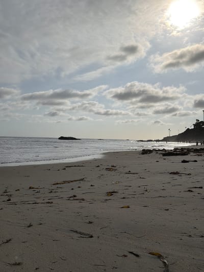 The image depicts a wide, sandy beach in Laguna Beach, California, USA. The foreground is dominated by the textured sand, with scattered pieces of dried seaweed and debris. In the mid-ground, the ocean meets the shore with gentle waves and a foamy white wash. A large, dark rock formation rises from the sea in the distance to the left. To the right, along the coastline, a grassy bluff is visible, dotted with palm trees and silhouetted figures of people walking and standing. The sky above is a mix of pale blue and scattered, wispy clouds, with the sun partially obscured, creating a bright, diffused light. The overall impression is a tranquil, late afternoon beach scene.