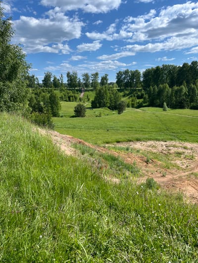 This image depicts a vibrant, sunlit rural landscape in Новочувашский, Russia, on a clear day with a bright blue sky and scattered white cumulus clouds. The foreground is dominated by a dense growth of tall, verdant green grass and various herbaceous plants, with hints of small white and purple wildflowers. A steep, reddish-brown dirt embankment, possibly an eroded slope or cut, diagonally traverses the mid-left to mid-right foreground, separating the immediate grassy area from the expansive fields beyond.

The midground features undulating green fields interspersed with numerous deciduous trees, primarily birches, appearing in various stages of growth from saplings to mature trees, some forming small groves. Several unpaved dirt paths or tracks wind through these fields, one prominent light brown path curving from the left-center towards the upper right, and another visible further in the distance. A distinct, smaller conifer-like tree is visible in the mid-left field, and another lighter green tree appears in the mid-right.

In the far background, dense lines of trees form the horizon, suggesting a forested boundary. A small group of indistinct figures can be faintly observed on a distant dirt path near the center-right, indicating human presence in the environment. The scene is brightly illuminated, highlighting the natural textures and colors of the landscape.