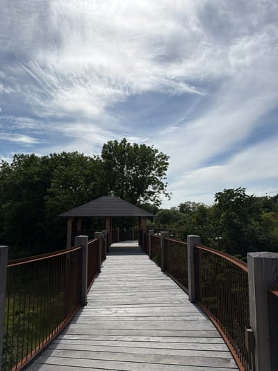 The image shows a wooden boardwalk winding through a natural setting. The boardwalk, made of weathered grey planks, curves to the right, leading the viewer's eye into the scene. It is bordered by a rustic metal railing and wooden posts. Overhead, a dark, angular structure, possibly a shade or roof element, juts out from the boardwalk.
Beyond the boardwalk, lush green trees form a dense canopy. In the distance, the sky is a bright blue, streaked with wispy white clouds that appear to be moving, suggesting a breezy day. The sunlight casts distinct shadows on the boardwalk, indicating it is likely daytime.
The scene appears tranquil and natural, possibly a park or nature reserve. The perspective is from eye level, looking along the boardwalk. There is no visible text in the image. The overall mood is peaceful and serene, inviting exploration of the natural landscape.