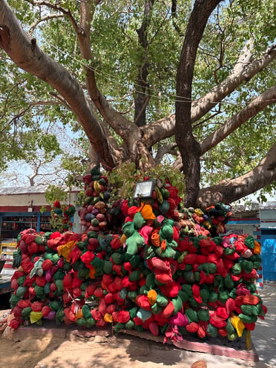 The image shows a tree next to a wall in the city of Chikkarampur, India. A large tree with smooth, light gray branches fills the left side of the frame, with dense green foliage visible in the background. The trunk of the tree is partly obscured by numerous bundles of colored cloth tied to the tree and a wall. The colorful bundles are predominantly red, green, yellow, and orange. The wall to the right of the tree is light-colored, and partially obscured by the colorful bundles, and what appear to be electrical wires are affixed to the tree near the wall. Behind the wall, parts of a building can be seen with a blue window frame, and a partially visible dark doorway.