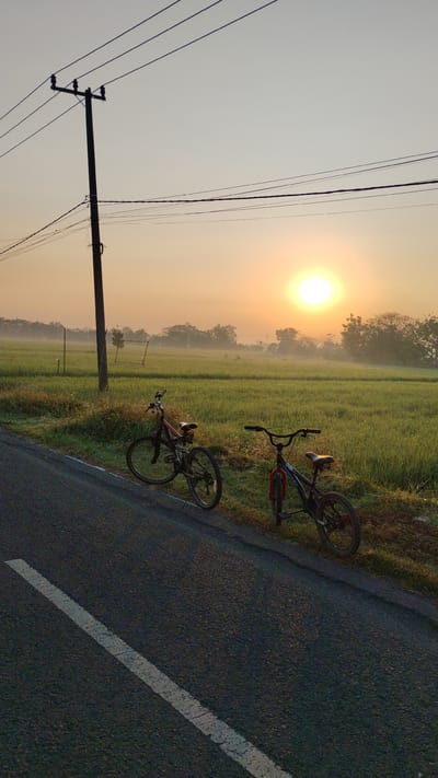 The image depicts a serene morning scene in the rural outskirts of Sumberejo, Indonesia. Two bicycles are parked on the grassy shoulder of an asphalt road. The sun is low in the sky, casting a warm, golden glow over a vast rice paddy field that stretches into the distance. A utility pole with power lines stands prominently on the left side of the road, silhouetted against the hazy sky. The atmosphere is tranquil, suggesting the early hours of the day before the typical activities of the town commence. The field appears lush and green, with a light mist hovering above the crops, characteristic of humid tropical mornings.