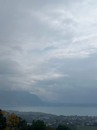 A wide, elevated landscape photograph, taken from Jongny, Switzerland, captures Lake Geneva and the surrounding mountainous terrain under an overcast sky. The upper two-thirds of the image are filled with a dense, grey cloud cover, exhibiting slight variations in tone. The middle ground is dominated by the expansive, calm surface of Lake Geneva, appearing a muted blue-grey. Beyond the lake, a range of dark, multi-peaked mountains, consistent with the Alps, rise, partially obscured by atmospheric haze. The lower portion of the image reveals a densely developed area along the lake's shoreline and extending up the hills, characterized by numerous structures and interspersed deciduous trees displaying both green and autumn-yellow foliage. No individuals, active subjects, or specific interactions are discernible within the frame.