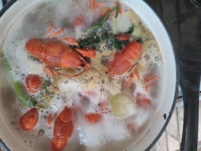 A close-up overhead shot shows several bright orange crawfish being boiled in a white pot filled with foamy water. The crawfish are clustered together, with some partially submerged and others more visible on the surface. Green herbs and white pieces of onion are also present in the pot, contributing to the boiling mixture. The pot itself is white with a dark rim and appears to be on a stovetop. The surrounding environment is out of focus, but hints of a kitchen setting can be discerned. The scene is located in Novomaryevskaya, Russia.