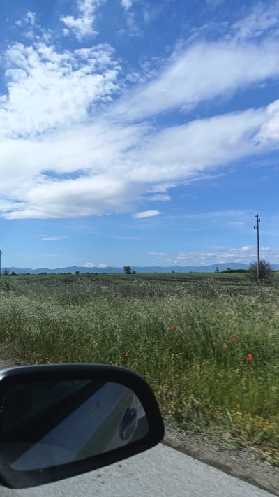 The image depicts a landscape near Plodovitovo, Bulgaria, likely taken from a moving vehicle. The sky is blue with scattered white clouds. Below the sky is a field of green vegetation, with rows of what appears to be a cultivated crop in the distance. Taller grasses and some red poppy flowers grow in the foreground. A utility pole is visible on the right. The side mirror of the vehicle is visible in the lower left corner, reflecting part of the car door. Distant mountains can be seen on the horizon. The weather appears to be sunny and clear.