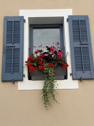A window with dark blue shutters, a white frame, and a window box filled with red and pink flowers is pictured on a tan, textured building. The shutters are open and angled outward from the window. Green ivy cascades from the window box. The sky is reflected in the window pane. The scene is located in Saint-Gervais-les-Bains, France.